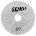 rex_50_2.jpg